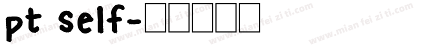 pt self字体转换